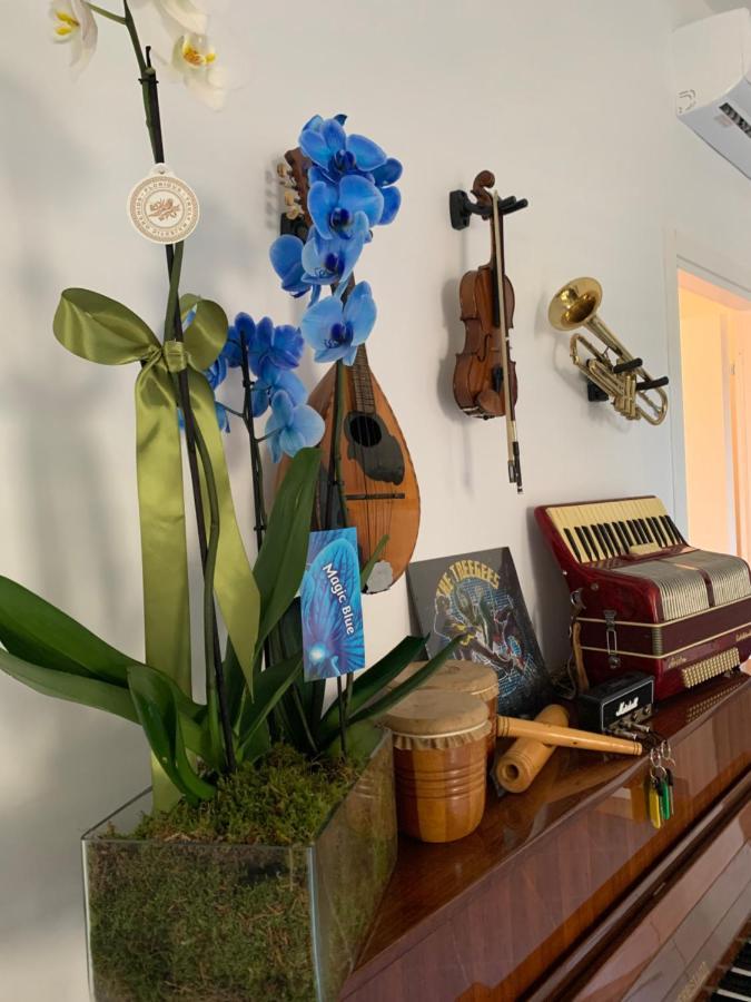 Music House Palinuro住宿加早餐旅馆 外观 照片